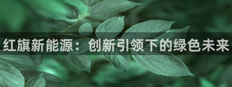 新宝gg吧