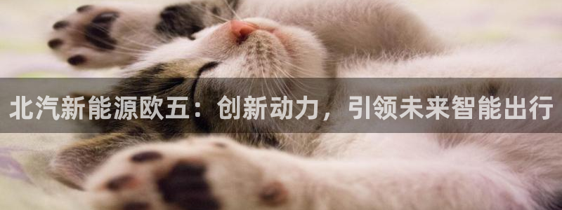 新宝gg博彩