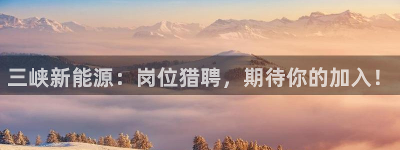 怎么代理新宝gg