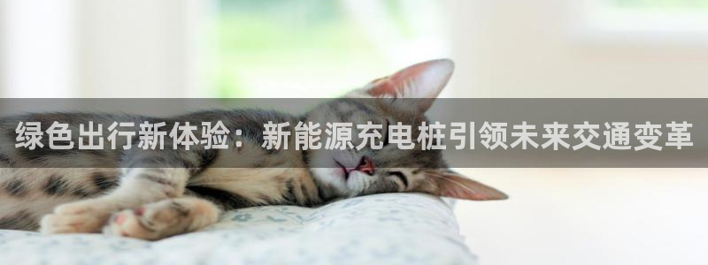 新宝gg手机