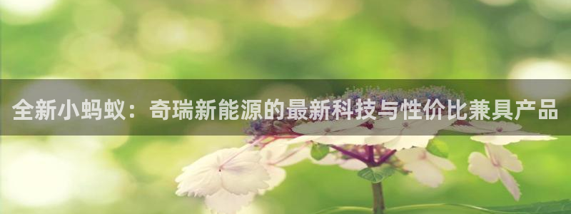 新宝gg网点