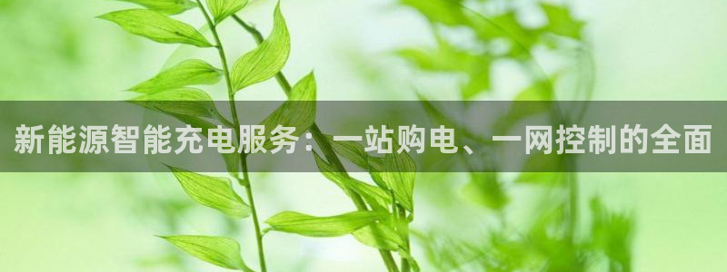 新宝gg平台反水