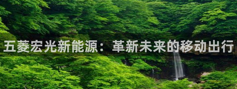 新宝gg返点1956是多少：五菱宏光新能