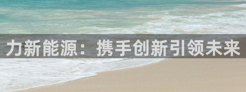 新宝gg公司