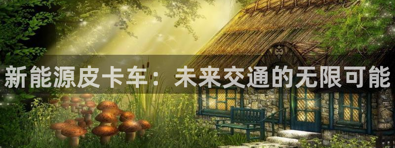 新宝GG于六七五一38：新能源皮卡车：未