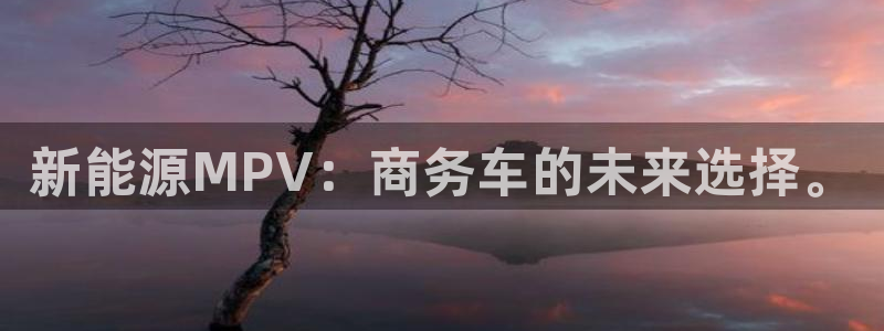 新宝娱gg：新能源MPV：商务车的未来选