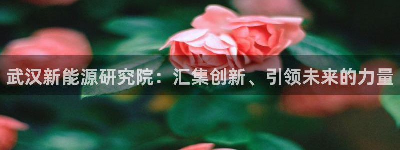 新宝gg计划：武汉新能源研究院：汇集创新