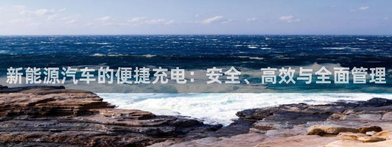 新宝gg软件下载：新能源汽车的便捷充电：