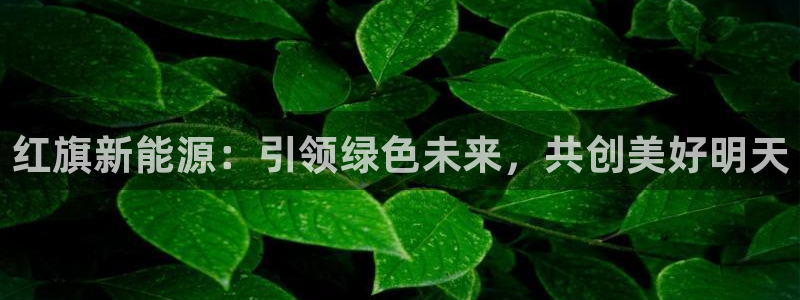 新宝gg—创造:红旗新能源:引领绿色未来,共创美好明天