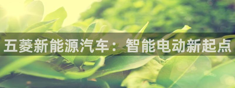 新宝gg玩:五菱新能源汽车:智能电动新起点