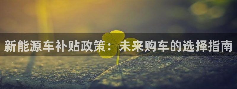 新宝GG登录网页:新能源车补贴政策:未来购车的选择指南