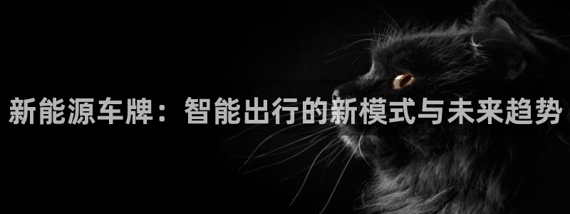 新宝给gg:新能源车牌:智能出行的新模式与未来趋势