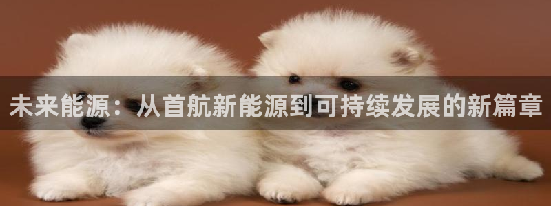 新宝gg娱乐怎么样:未来能源:从首航新能源到可持续发展的新篇