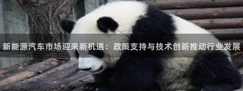 新宝gg群:新能源汽车市场迎来新机遇:政策支持与技术创新推动