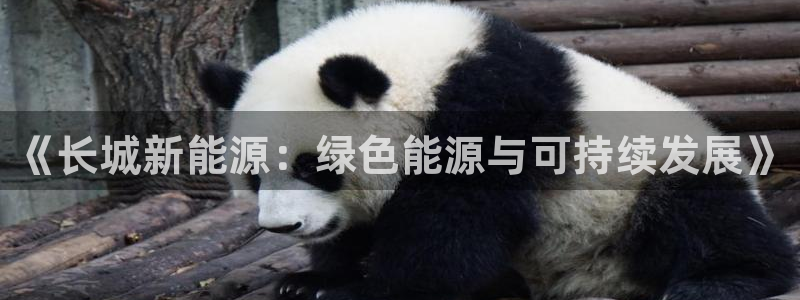 新宝gg-:《长城新能源:绿色能源与可持续发展》
