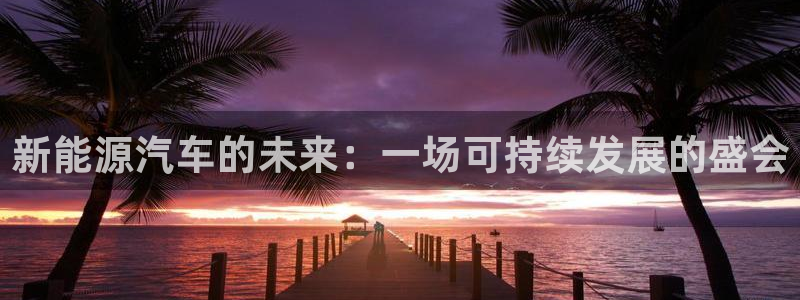 新宝GG啦78778:新能源汽车的未来:一场可持续发展的盛会