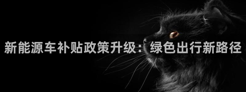 新宝gg客服电话:新能源车补贴政策升级:绿色出行新路径