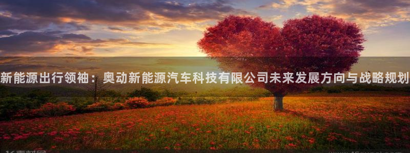 新宝GG勒55312:新能源出行领袖:奥动新能源汽车科技有限