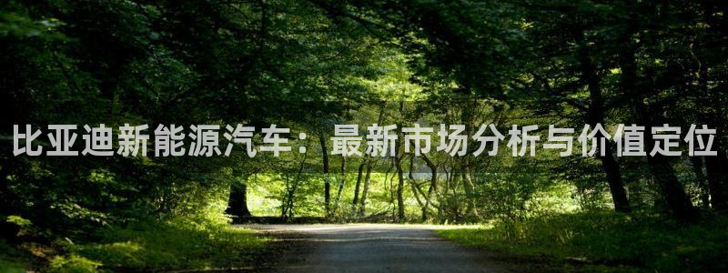 新宝gg-:比亚迪新能源汽车:最新市场分析与价值定位