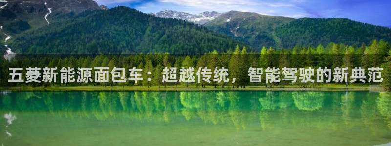 新宝GG无法充值:五菱新能源面包车:超越传统,智能驾驶的新典