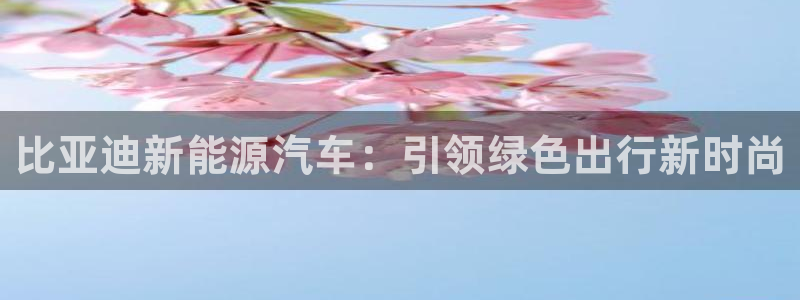 新宝gg注册1956:比亚迪新能源汽车:引领绿色出行新时尚