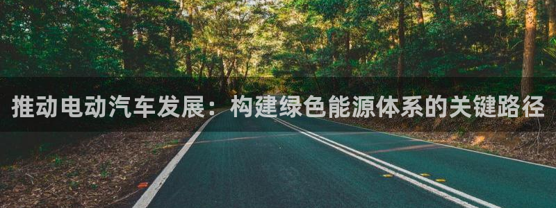 新宝gg为什么没人管:推动电动汽车发展:构建绿色能源体系的关