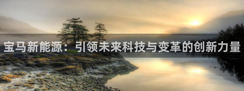 新宝gg网址:宝马新能源:引领未来科技与变革的创新力量