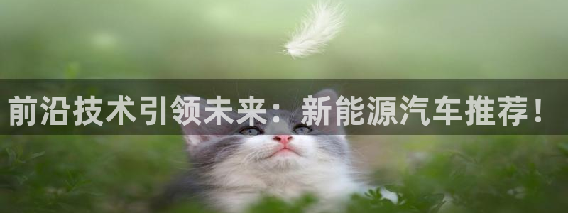 新宝GG嗽78778:前沿技术引领未来:新能源汽车推荐!