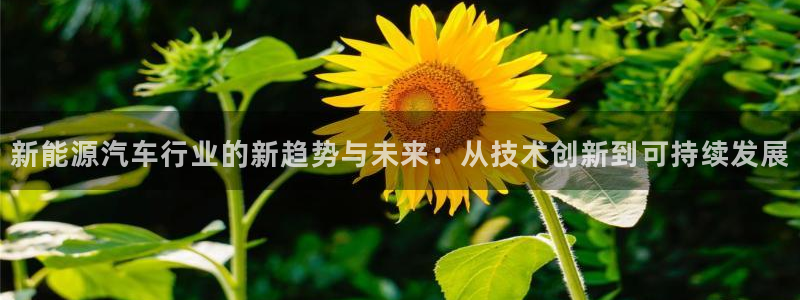 新宝彩票gg:新能源汽车行业的新趋势与未来:从技术创新到可持