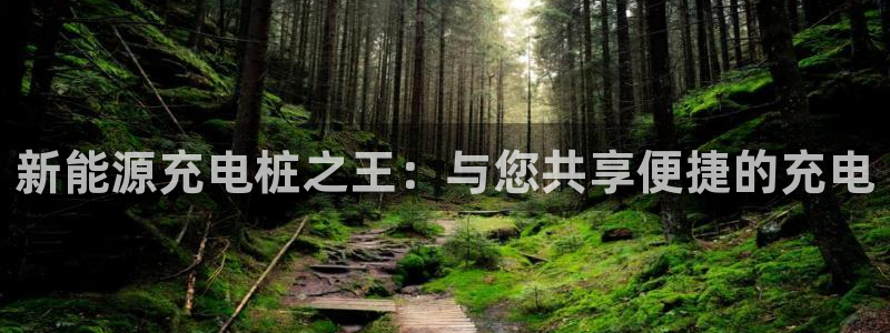新宝gg测试:新能源充电桩之王:与您共享便捷的充电