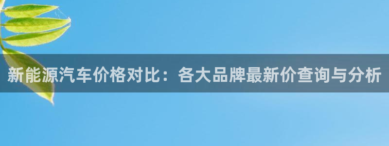 新宝GG跑路:新能源汽车价格对比:各大品牌最新价查询与分析