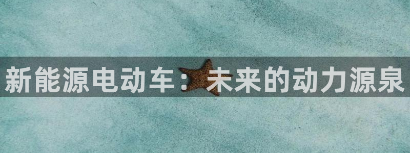 新宝GG股东:新能源电动车:未来的动力源泉