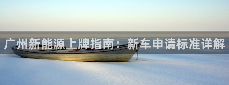 新宝GG官方域名:广州新能源上牌指南:新车申请标准详解