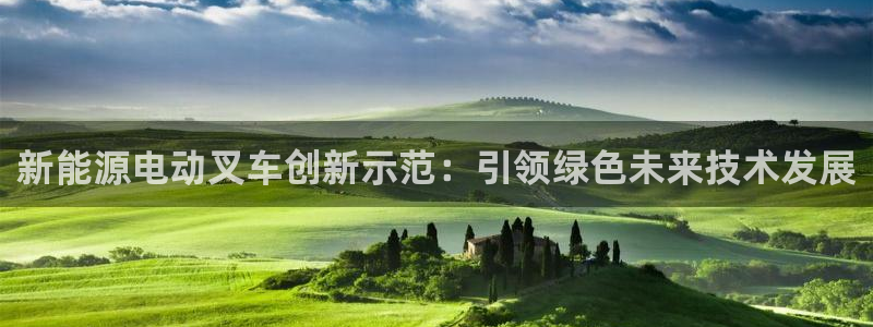 新宝gg干嘛:新能源电动叉车创新示范:引领绿色未来技术发展